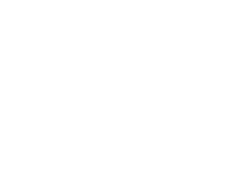 AIP Foundation