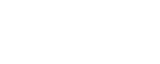 OneLink Holdings